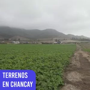 Terrenos en Chancay